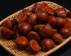大粒3Lサイズだけを厳選！最高級栗の代名詞 「丹波栗」　旬の京野菜も続々入荷！