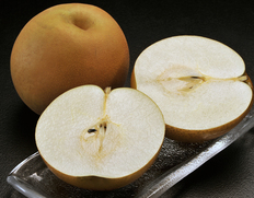 大きいもので1玉1.2kg！栃木が生んだ超大玉梨 『にっこり梨』