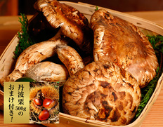 来週食べ納め！「丹波摂津の松茸」シーズン最後の特別価格！