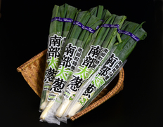 季節のフルーツ・野菜