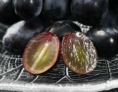 シーズン終盤の今一番うまい黒ブドウ「オリエンタルスター」 長野県産 2房 合計約800g