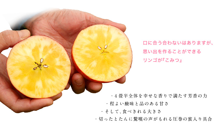 口に合う合わないはありますが、思い出を作ることができるリンゴが『こみつ』
4畳半全体を幸せな香りで満たす芳香の力
程よい酸味と品のある甘さ
そして、食べきれる大きさ
切ったとたんに驚嘆の声がもれる圧巻の蜜入り具合