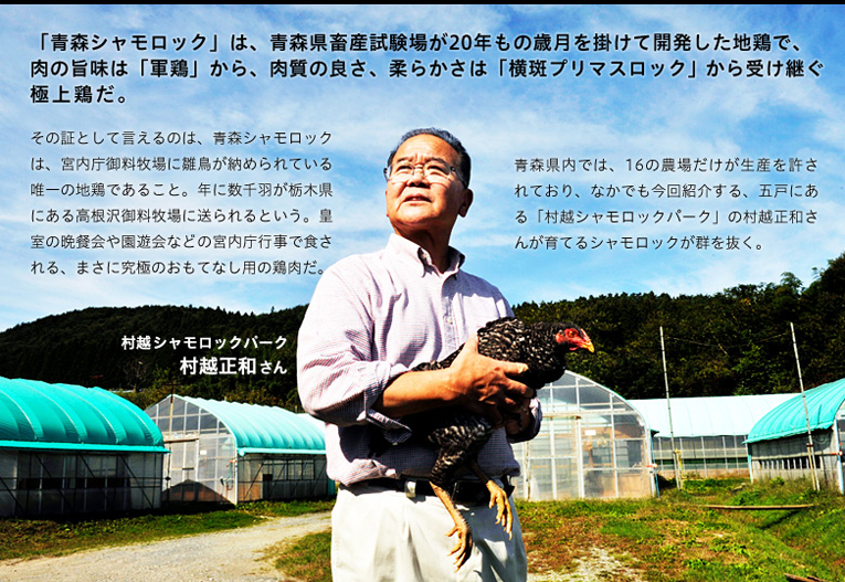 「青森シャモロック」は、青森県畜産試験場が20年もの歳月を掛けて開発した地鶏で、肉の旨味は「軍鶏」から、肉質の良さ、柔らかさは「横斑プリマスロック」から受け継ぐ
極上鶏だ。その証として言えるのは、青森シャモロックは、宮内庁御料牧場に雛鳥が納められている唯一の地鶏であること。年に数千羽が栃木県にある高根沢御料牧場に送られるという。皇室の晩餐会や園遊会などの宮内庁行事で食される、まさに究極のおもてなし用の鶏肉だ。青森県内では、16の農場だけが生産を許されており、なかでも今回紹介する、五戸にある「村越シャモロックパーク」の村越正和さんが育てるシャモロックが群を抜く。