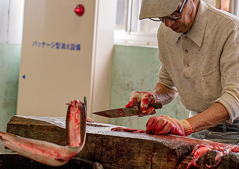 国産うなぎ通販。浜名湖食品のうなぎ工場。職人が手際よく鰻を捌いていきます